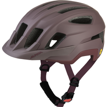Alpina  Sports Gmbh PARANUS MIPS raisin matt | 59-61