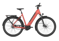 Gazelle Ultimate C5+ / 49cm