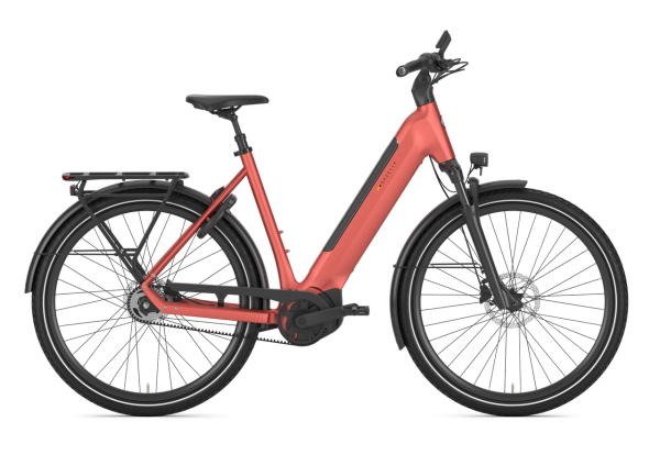 Gazelle Ultimate C5+ / 49cm